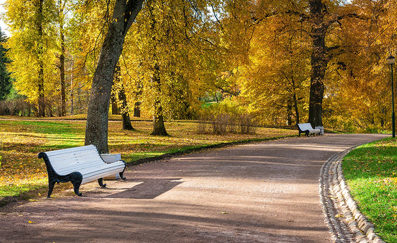 Parsloes Park	 image