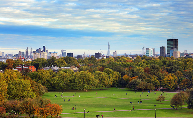 Primrose Hill  area view