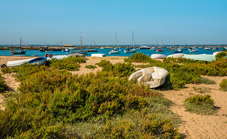 Mersea Island	