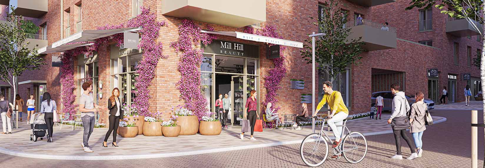 Plaza Collection Banner 2