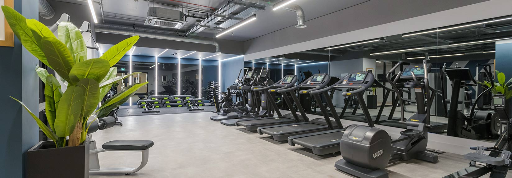 silk district banner 4