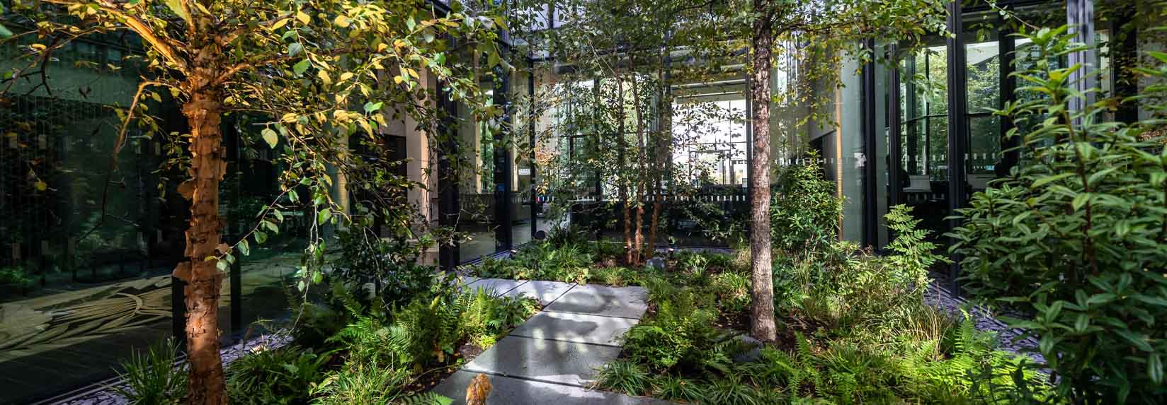 Banner Wardian banner 16