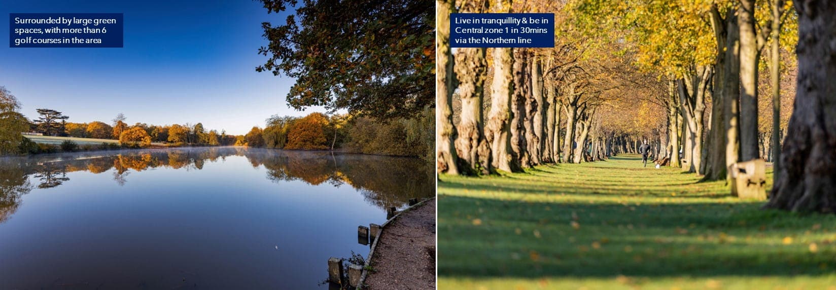 Brook Valley Gardens banner 3