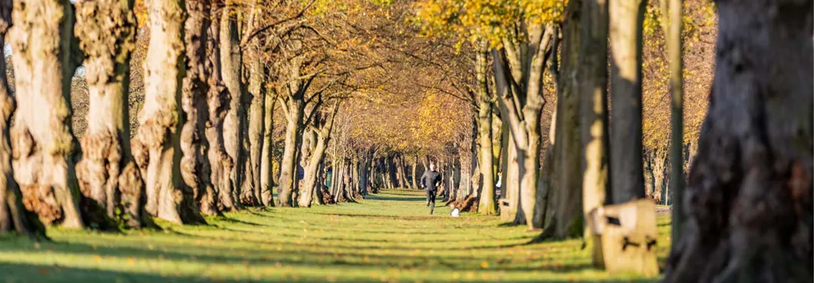 Brook Valley Gardens banner 2