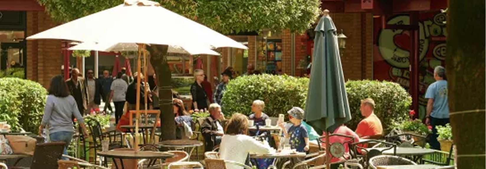 Brook Valley Gardens banner 4