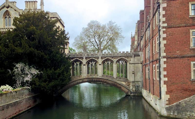 Cambridge Area Guide - Image 2