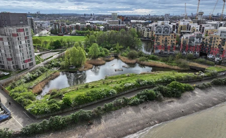 Greenwich Peninsula Ecology Park