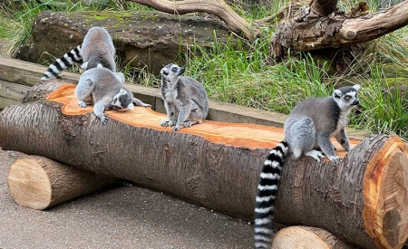 Hanwell Zoo	