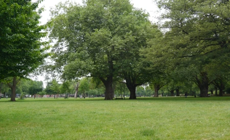 London Fields