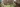 Western Circus Banner 4