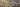 KRP Banner 1