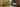 snowhill banner 1