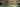 LSQG banner 1