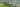 TGQ Banner 1
