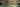 LSQG banner 1