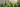WCL banner 3
