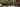 LSB banner 1