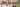 Plaza Collection Banner 1