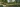 TGQ Banner 2
