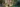 clarendon banner 3