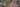 NWQ banner 3