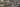 birds view banner 1