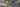 exterior banner 1