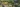 Banner TGQ Banner 6