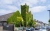 East Ham  area view 4