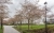 Swiss Cottage area view 4