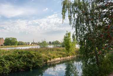 Goodchild Road, Woodbury Down, London - N4 view 14