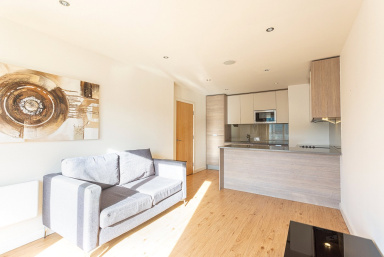 Curtiss House, 27 Heritage Avenue, Colindale - NW9 view 18