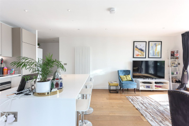 Elvin Gardens, Wembley - HA9 view 12