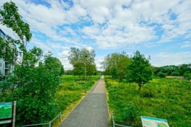  NW9image2