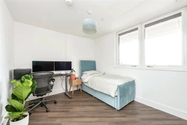 Healum Avenue, Southall UB2 image 6