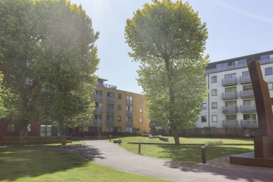  SE10image9