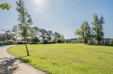 Henry Darlot Drive, Mill Hill NW7 image 18