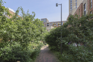 Bailey Street, Surrey Quays - SE8 view 13