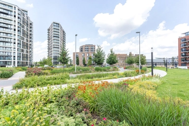 SE18image1