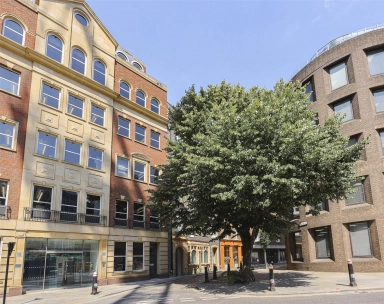 Cock Lane, Farringdon - EC1A view 8