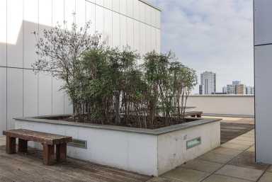 Epstein Square, Poplar - E14 view 8