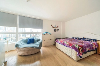 Prestons Road, Blackwall - E14 view 6