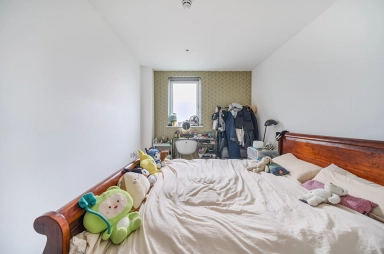 N1image11