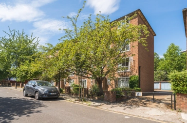 N19image10