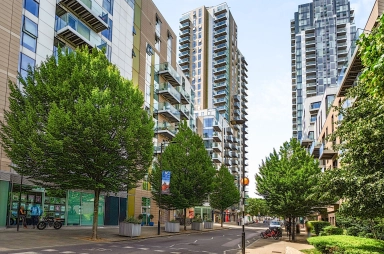 Woodberry Grove, London - N4 view 16