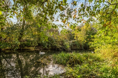 Devan Grove, London - N4 view 19