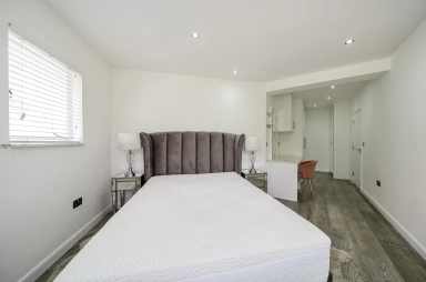 Prince Albert Road, St Johns Wood - NW8 view 16