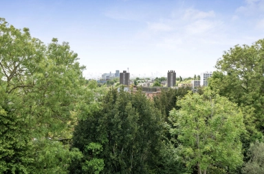 South Hill Park, Hampstead Heath - NW3 view 10