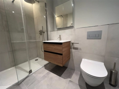 Winslow Road, London - W6 view 8