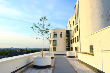 St. Luke's Avenue, Clapham SW4 image 14